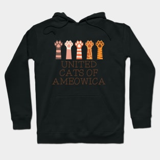 United Cats Of Ameowica - Cat Hoodie